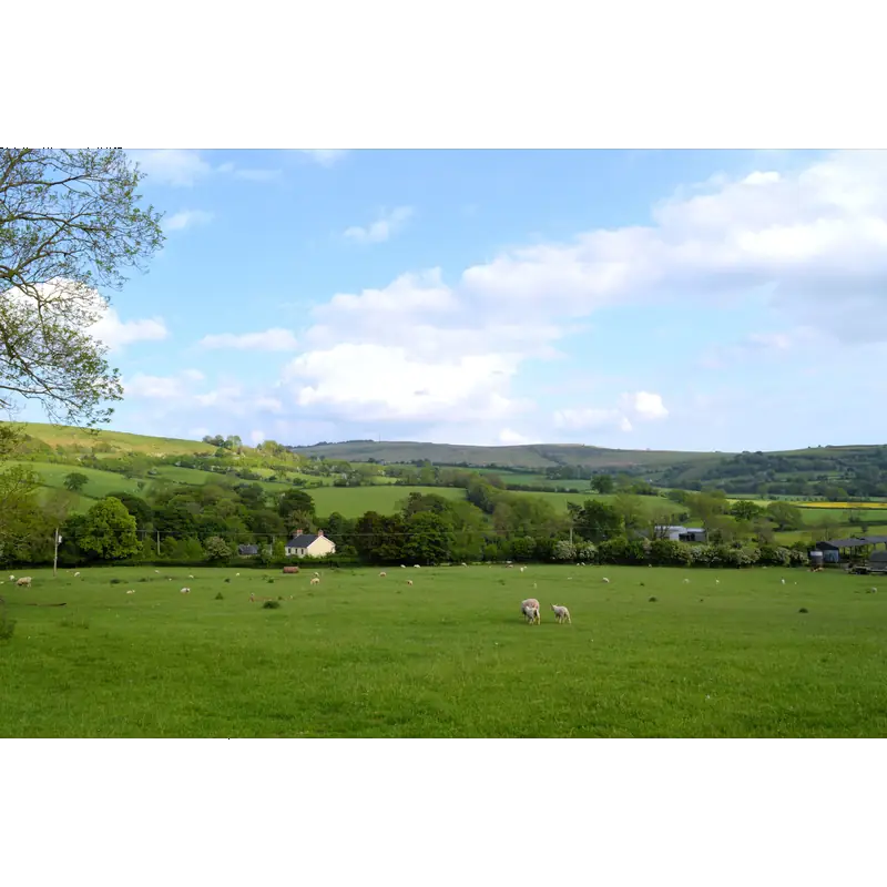 Image of Abdon