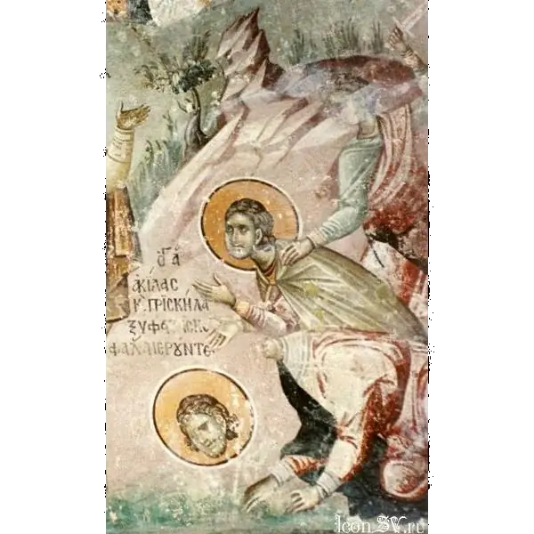 Image of Aquila