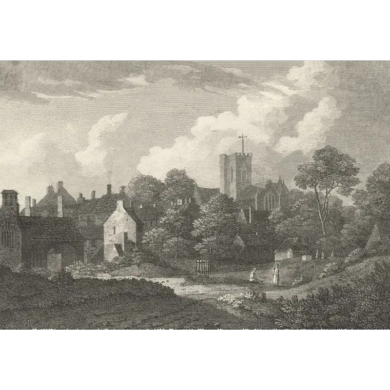 Image of Asaph