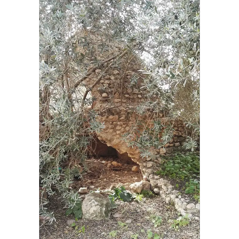 Image of Azrikam