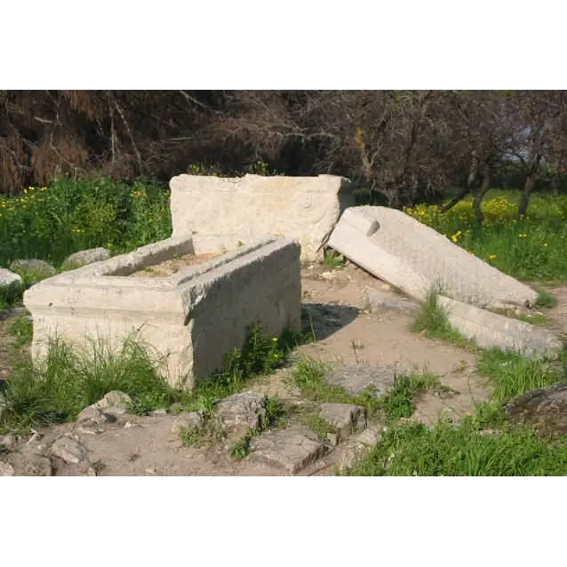 Image of Barak