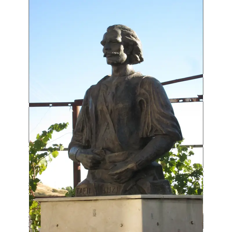 Image of Buz