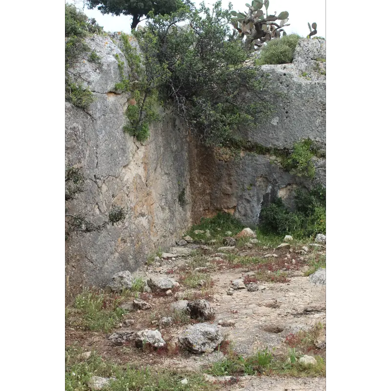 Image of Hananiah