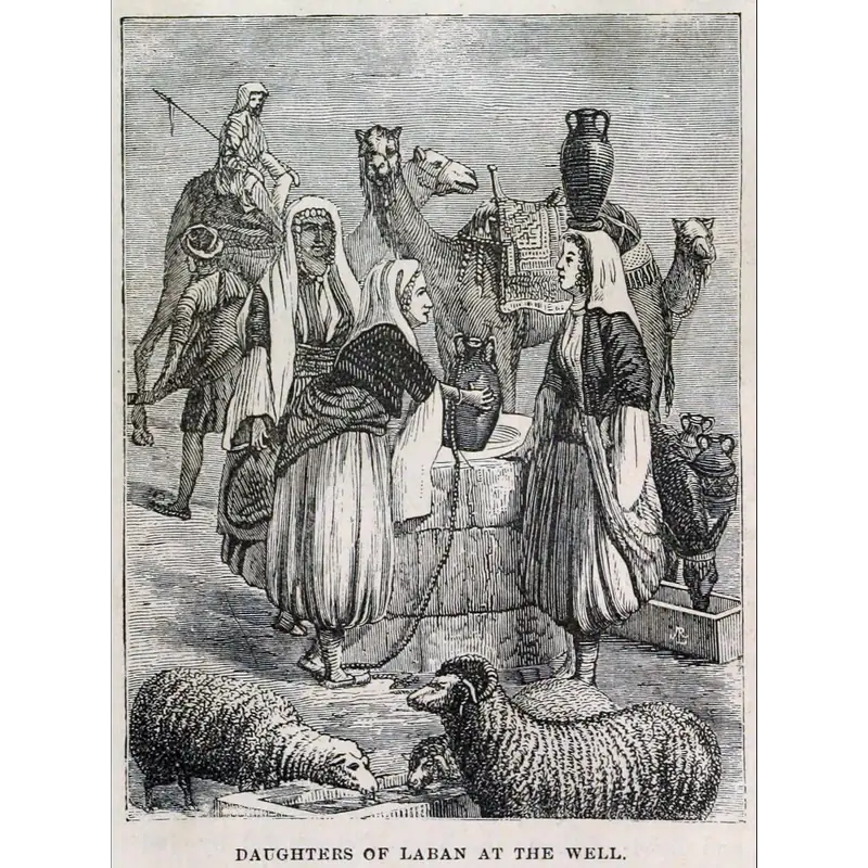 Daughters of Laban at the well