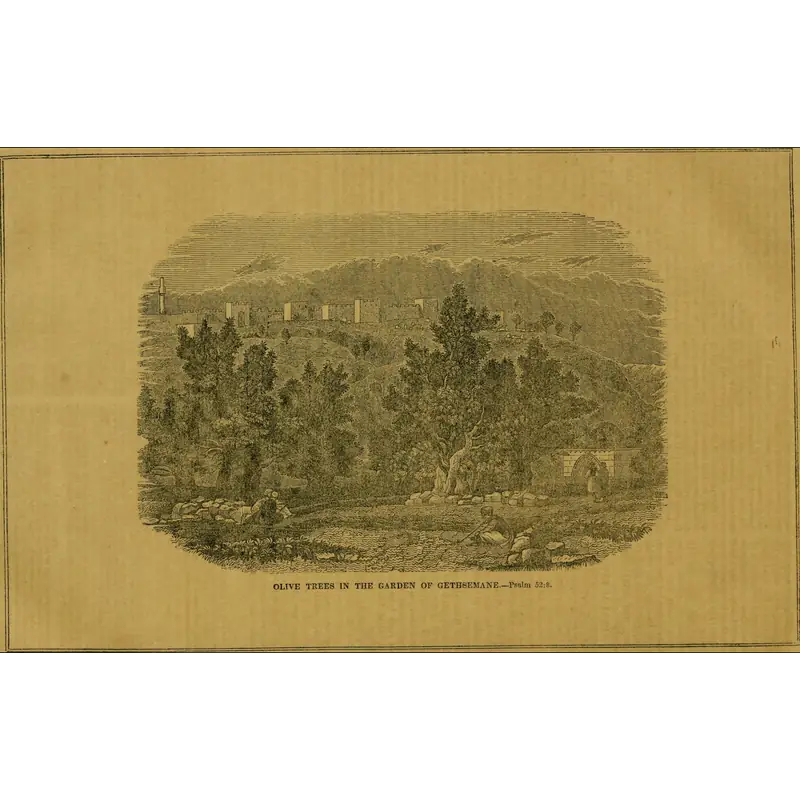 Image of Mahalath