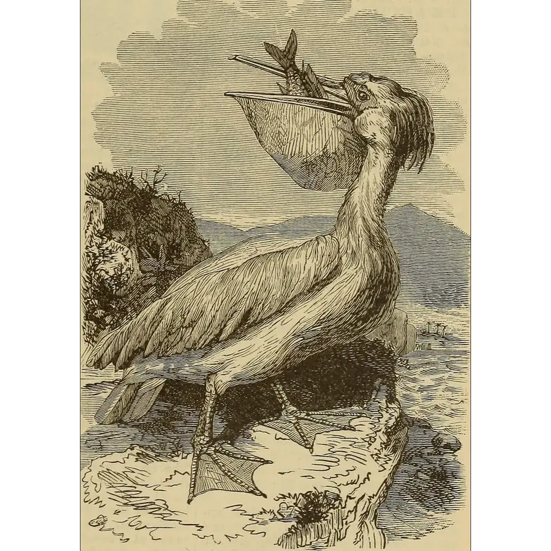 Image of Pelaiah