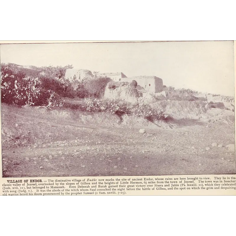 Image of Peleth