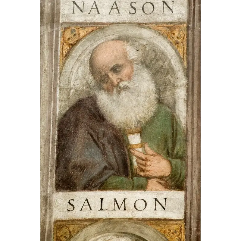 Painting of Salmon by Girolamo Tessari in 1526 in Padova, Church of S Francisco