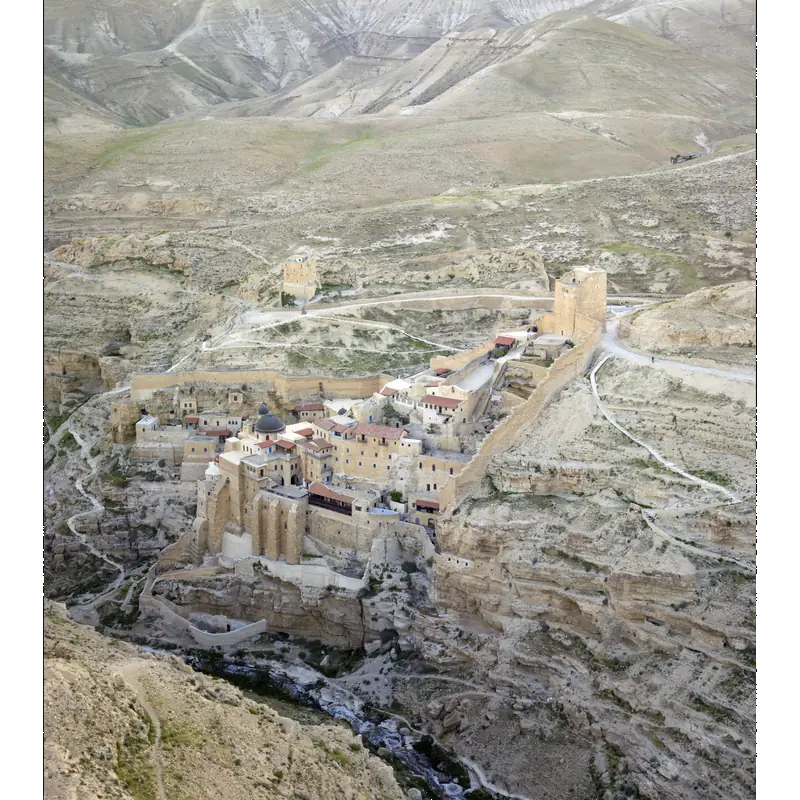 Image of Sheba