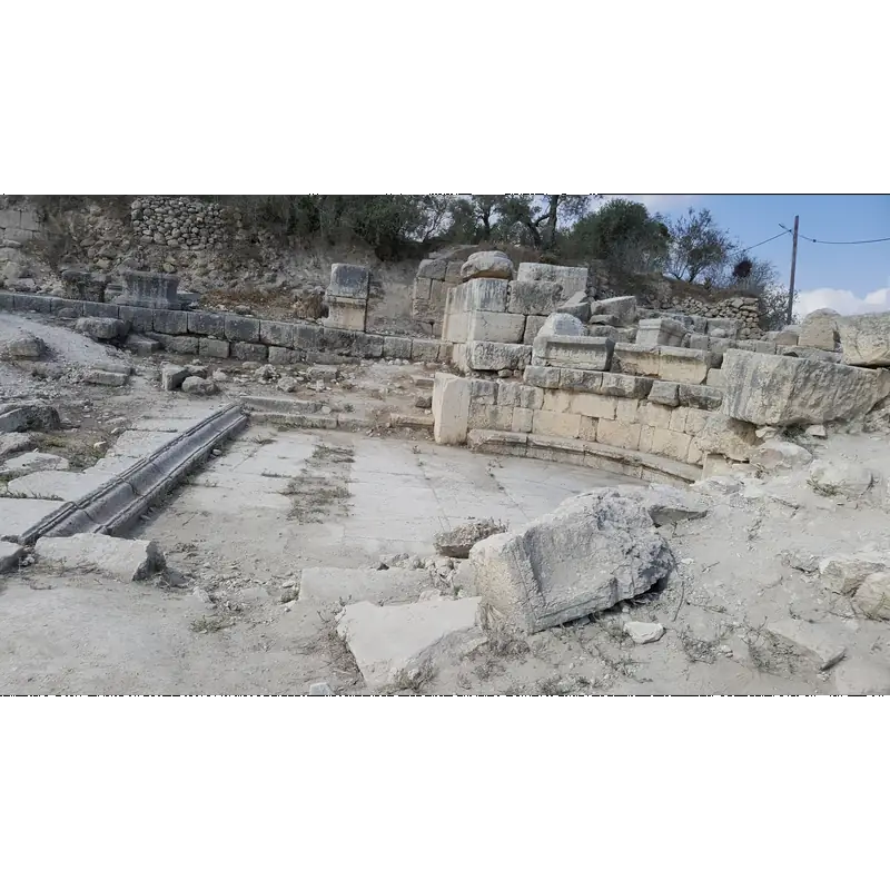 Image of Shemer