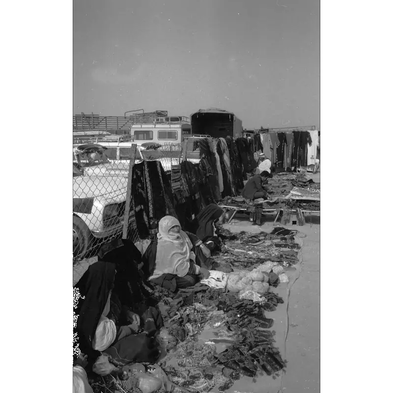 Image of Sheva