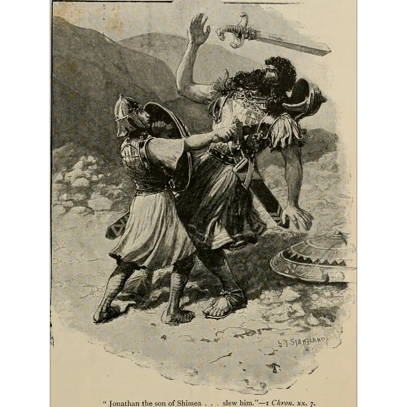 Image of Shimea