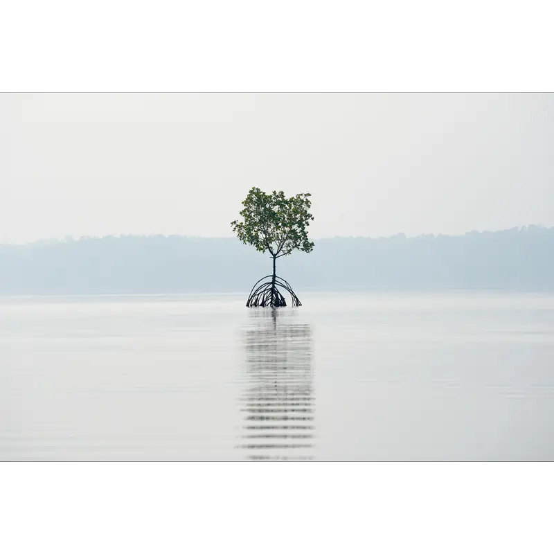 Image of Tarshish